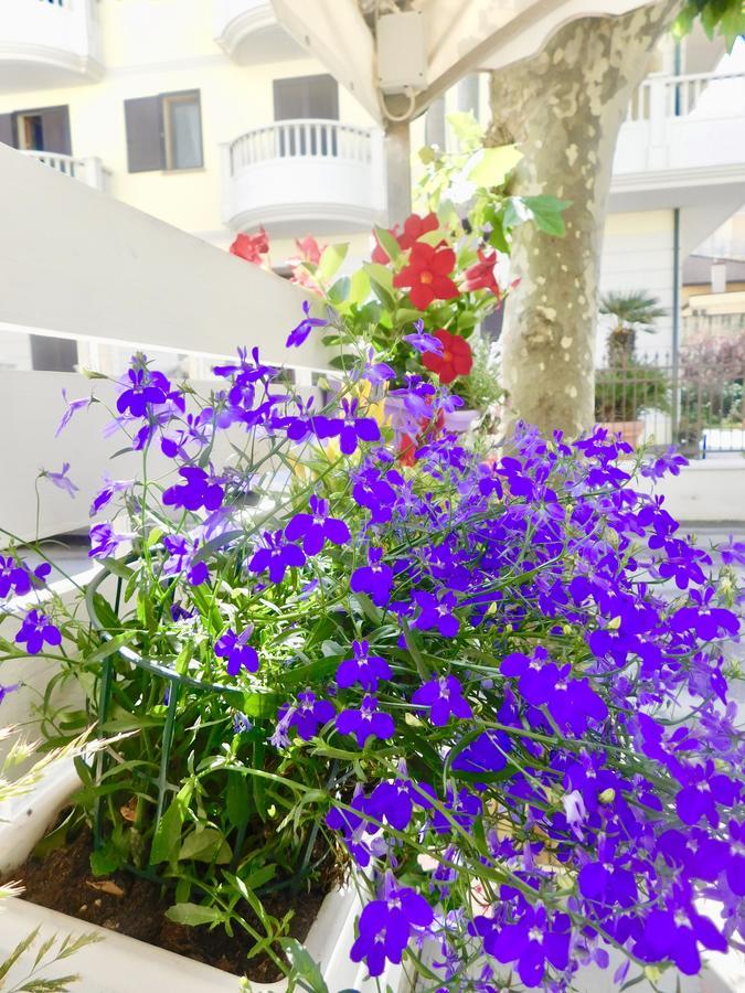 Hotel Dolores Rimini Buitenkant foto